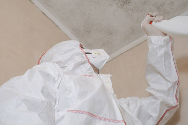 Best Bathroom Mold Remediation in Cherry Creek, CO